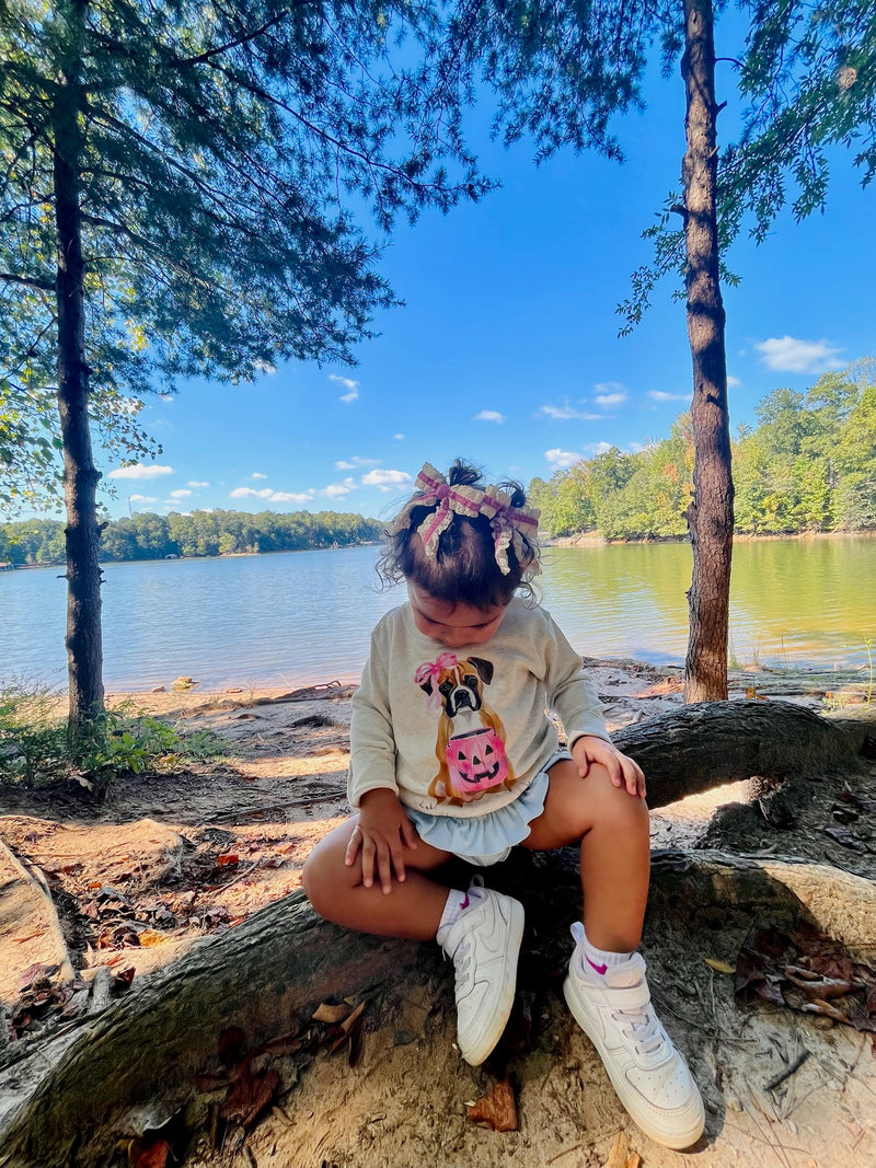 Halloween Pup Sweatshirt